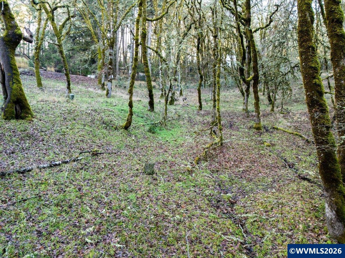 Lot 1100 Behind 5000 Crescent Valley Dr