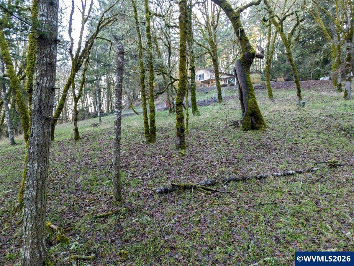 Lot 1100 Behind 5000 Crescent Valley Dr