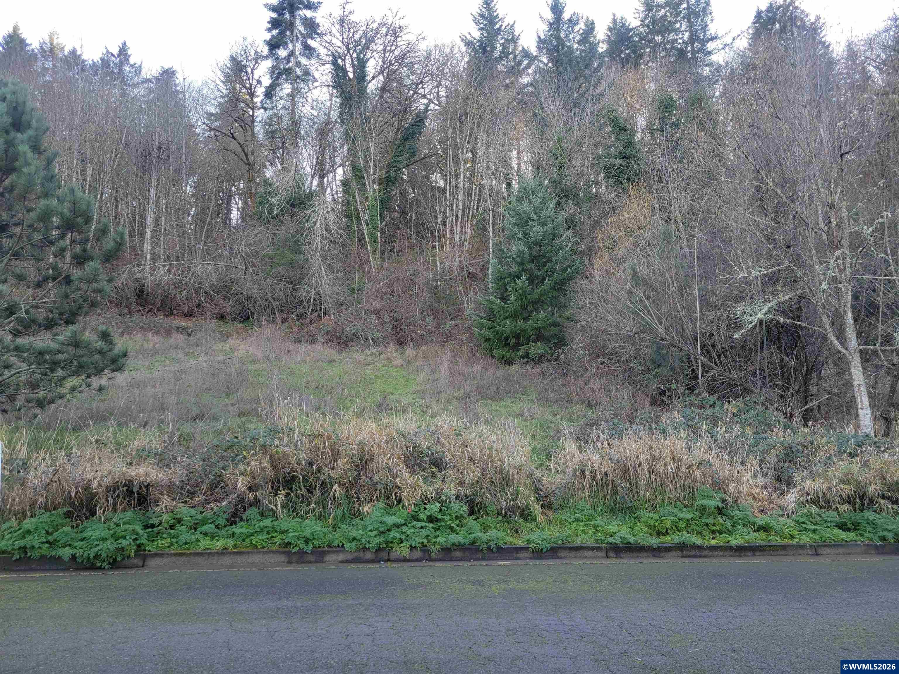 First Image